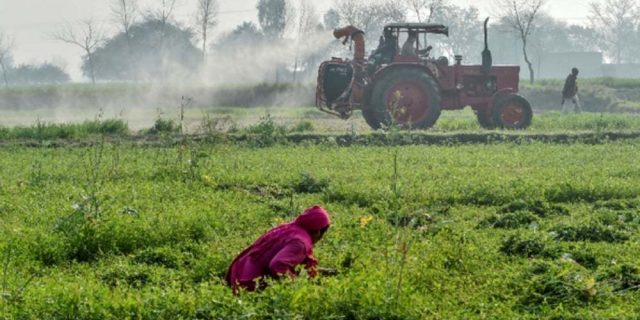 Sindh Farmers