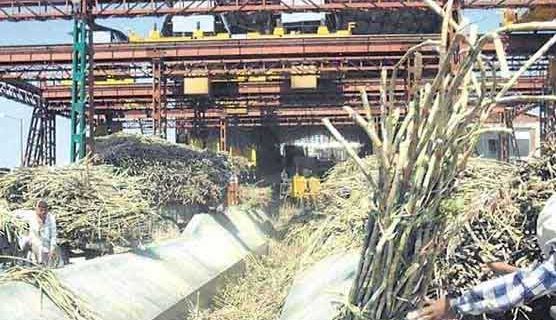 Sugar Cane Crushing