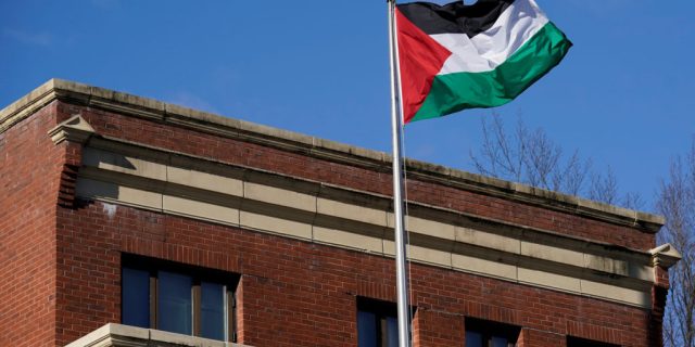 Palestine Flag