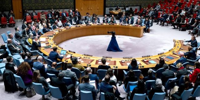 UN Security Council