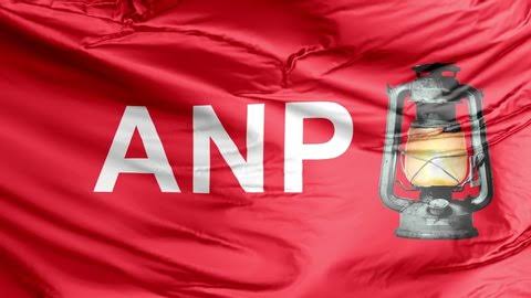 ANP Flag