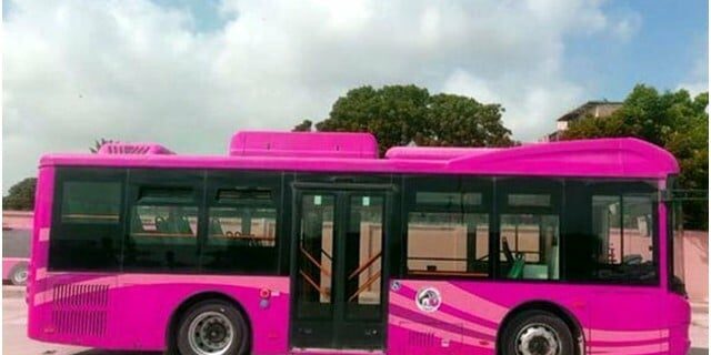 Pink Bus