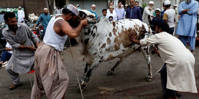 Animal Sacrifices during EidulAdha