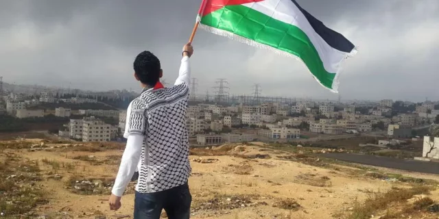 Palestine Flag PicRyl.Com