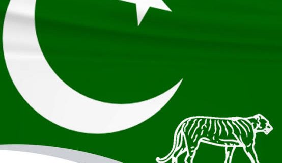 PMLN