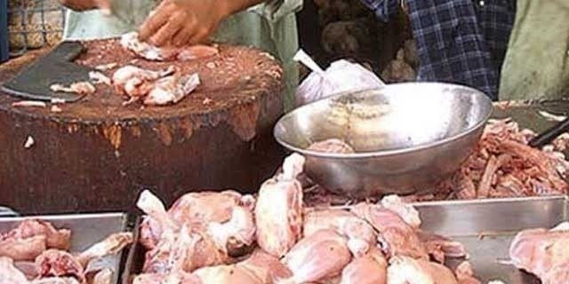 Chicken meat