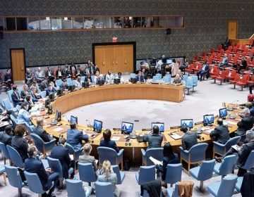Security Council