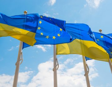 EU Ukraine Flags