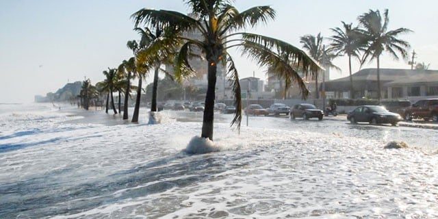 Beach View