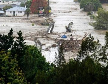 NewZealand Storm