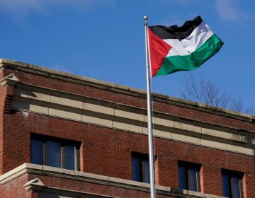 Palestine Flag