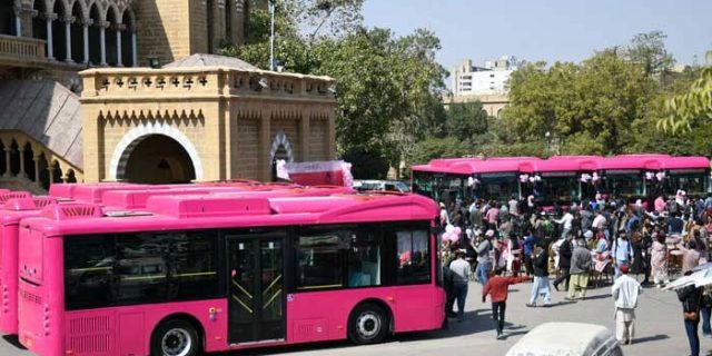 Pink Bus Service