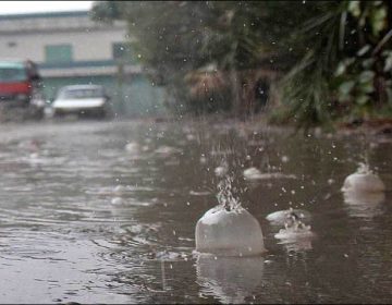 Rain