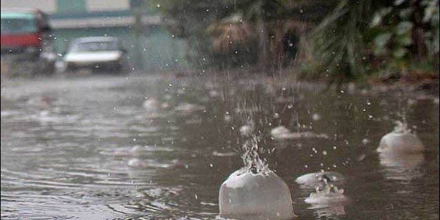 Rain