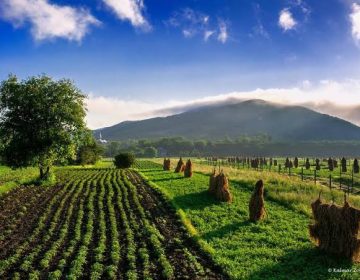 Green Pakistan