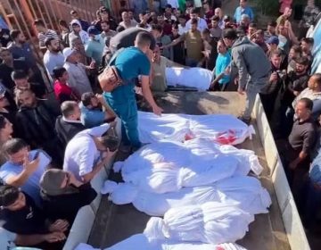 Palestine Killed