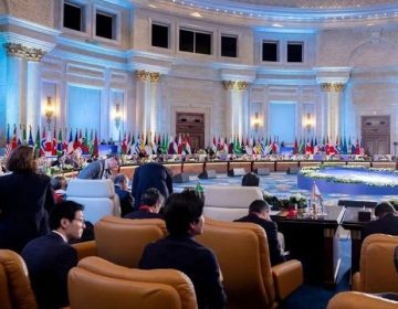 Egypt OIC