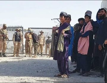 Afghan Chaman