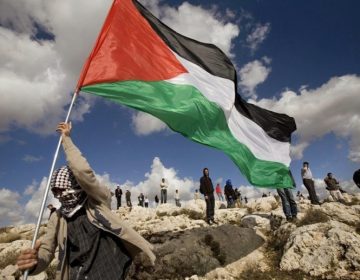 Palestine Flag