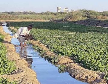 Polluted Water Fields