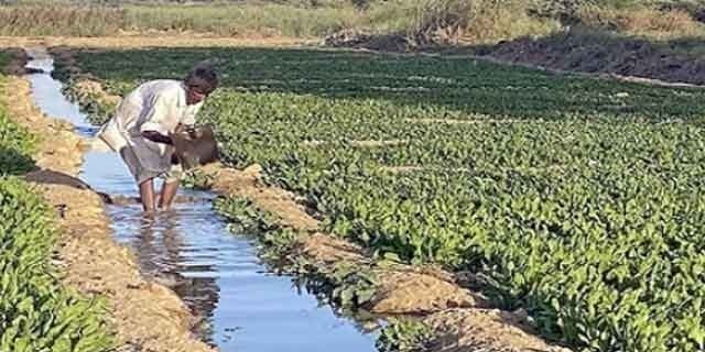 Polluted Water Fields