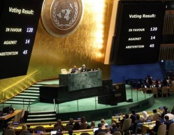 UN Assembly