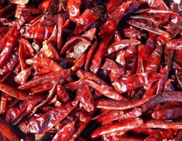 Red Dry Chillies