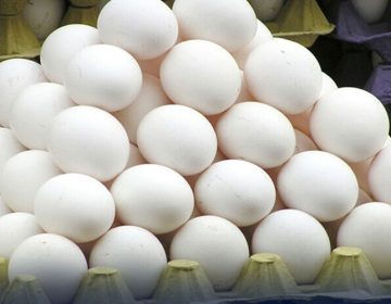 Eggs Prices