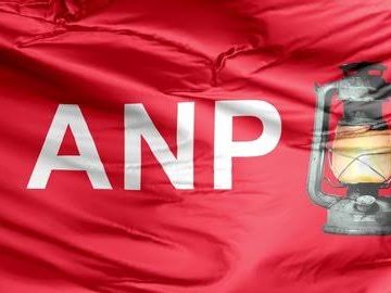 ANP Flag