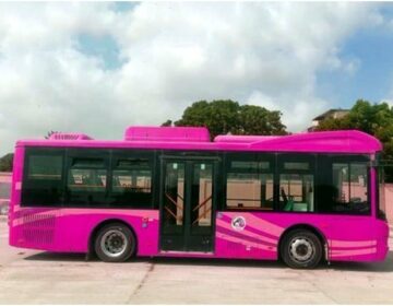 Pink Bus