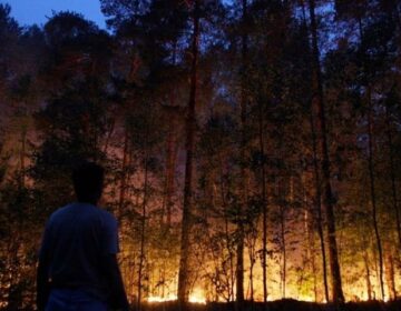Italy Fire