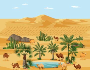 Camel-desert-graphics