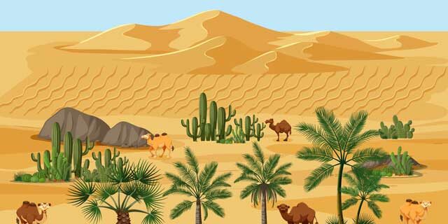 Camel-desert-graphics