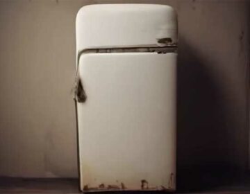 Old Fridge