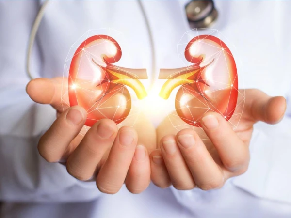 Kidney Health