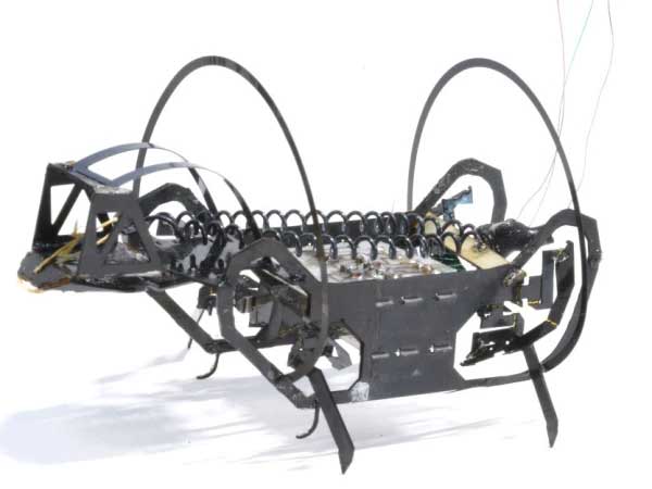 Robot Animal