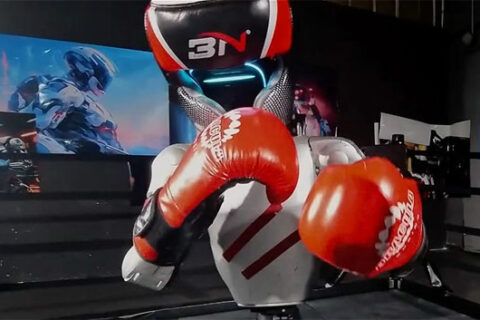 AI Boxing Tournament