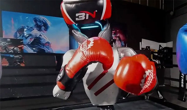 AI Boxing Tournament