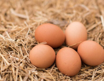 Eggs