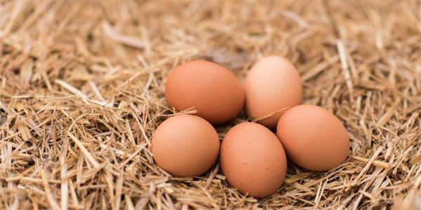 Eggs