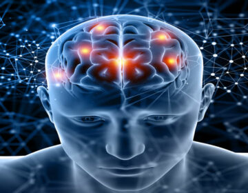Human Brain