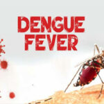 Dengue Fever