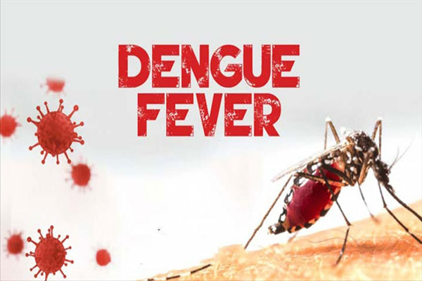 Dengue Fever