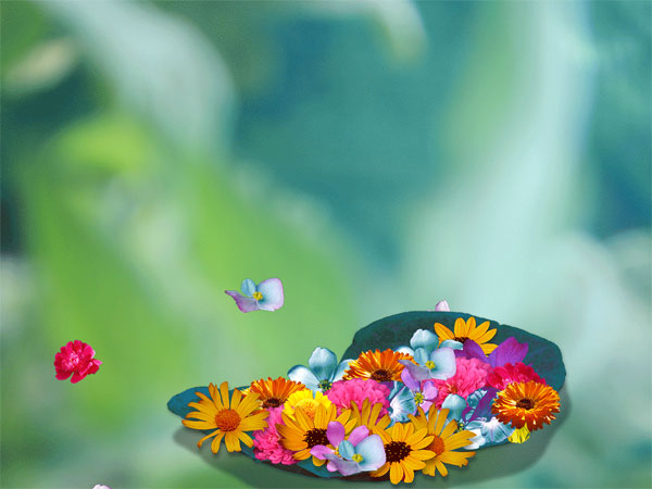 Flowers