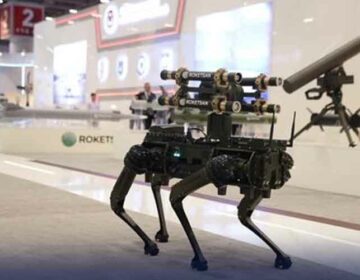 Robo Dog