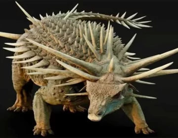 Dinosour