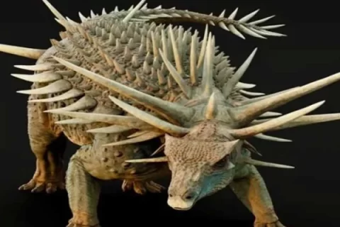 Dinosour