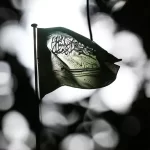 تاریک اور دھیمے پس منظر میں روشن بِلور (Bokeh) اثرات کے سامنے ہوا میں لہراتا ہوا سعودی عرب کا قومی پرچم