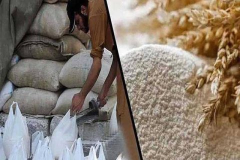 آٹا گندم کی تصویر