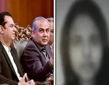 وزیر داخلہ محسن نقوی اور طلال چودھری کی تصویر